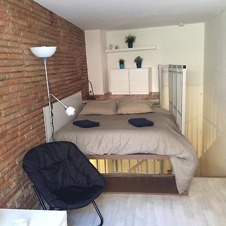 Apartmán Le Petit Moulin, Duplex Hypercentre Toulouse Exteriér fotografie